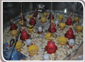 CC宝(中国集团)官方网站