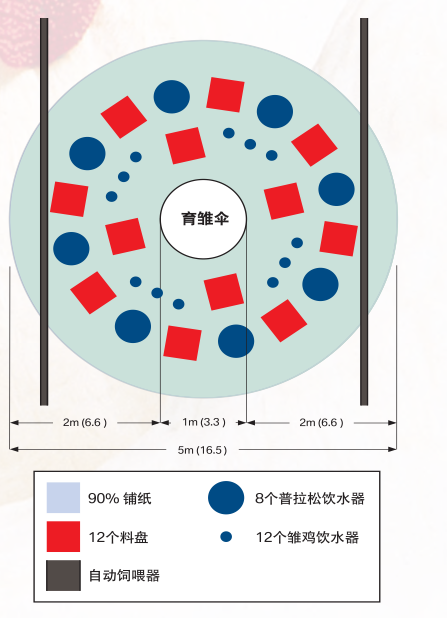 CC宝(中国集团)官方网站