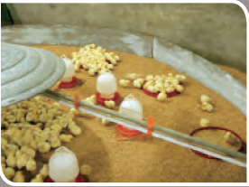 CC宝(中国集团)官方网站