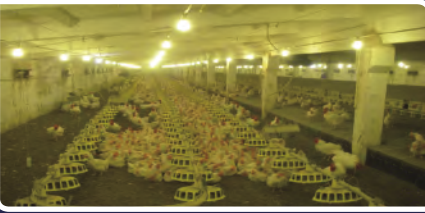 CC宝(中国集团)官方网站