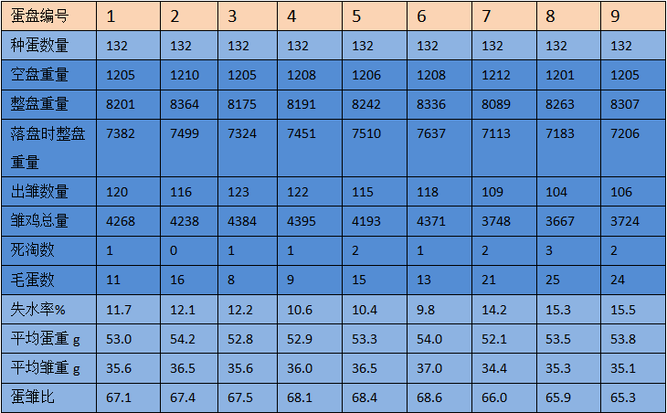 CC宝(中国集团)官方网站