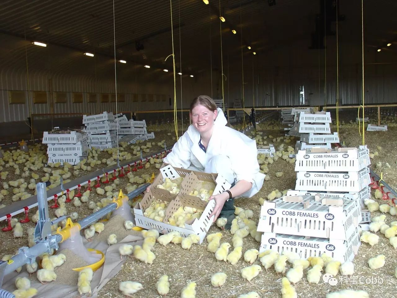 CC宝(中国集团)官方网站