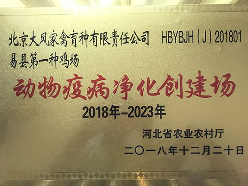 45f9b62942ef0a6b41a80d4a1c11832e