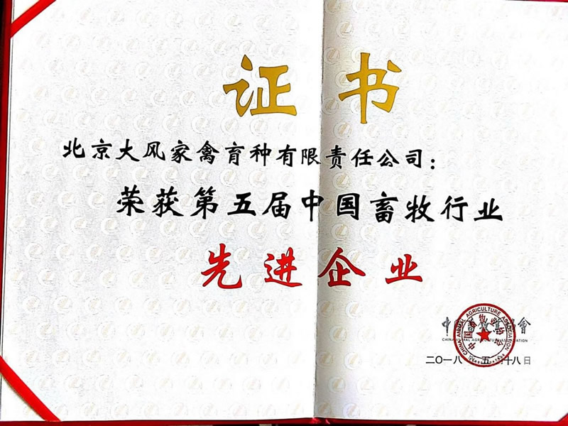 b60655a94656e31b9d43e7187871c070