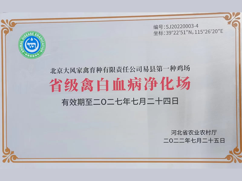 c382a10122db88dc24307b76ca1ddb82