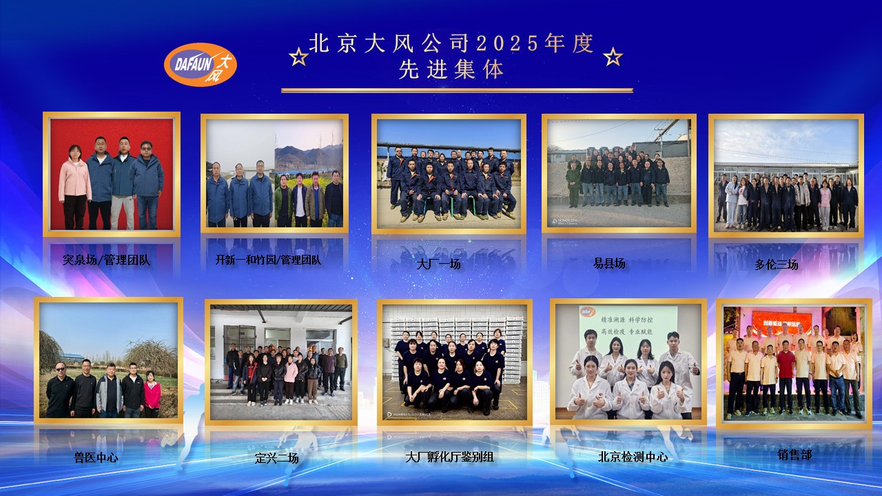 北京CC宝表扬大会-2025.jpg